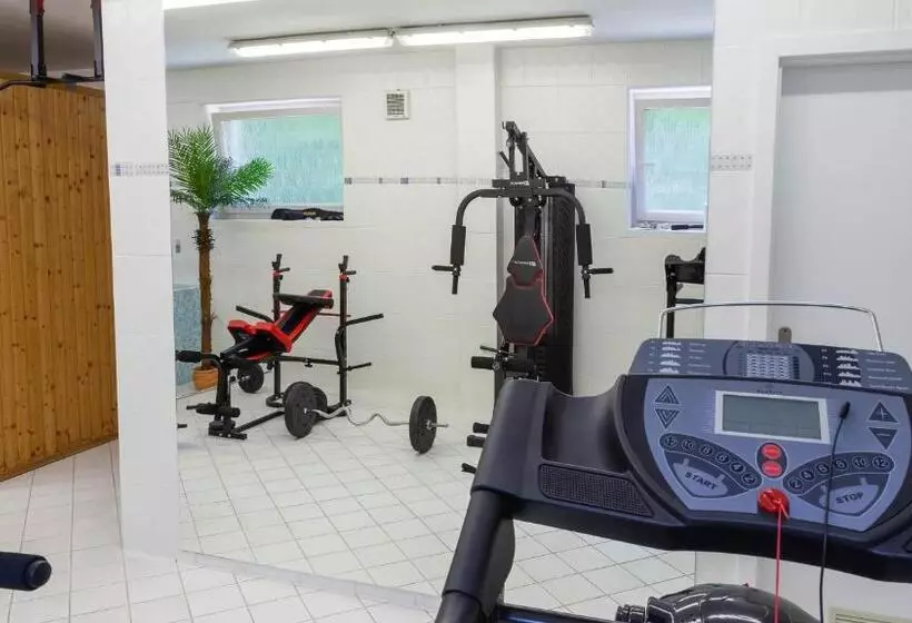 پانسیون Penzion Solid Spa