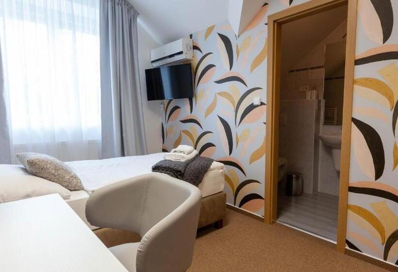 פנסיון Penzion Solid Spa