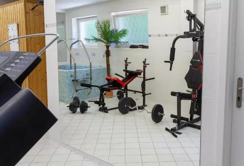 پانسیون Penzion Solid Spa