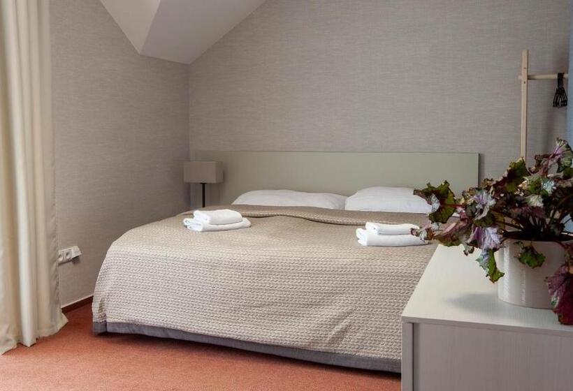 פנסיון Penzion Solid Spa