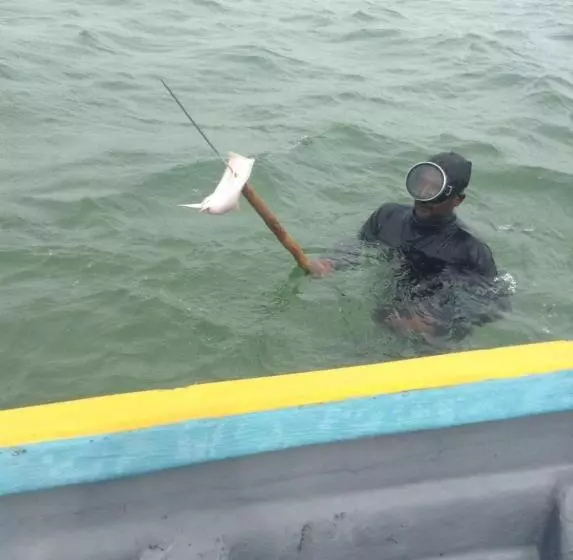 ペンション Nallur Residence