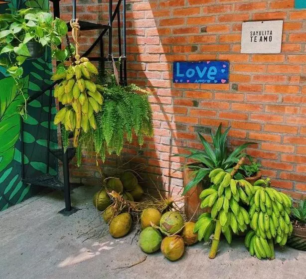 Retkeilymaja La Redonda Sayulita Hostal