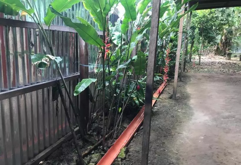 ペンション Ayahuaska Backpackers House  Casa Completa En Alquiler