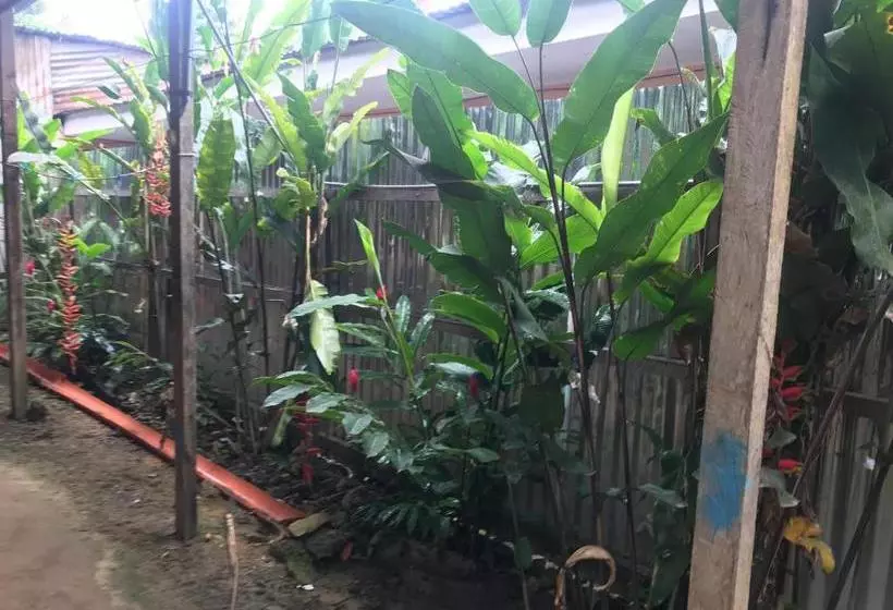 ペンション Ayahuaska Backpackers House  Casa Completa En Alquiler