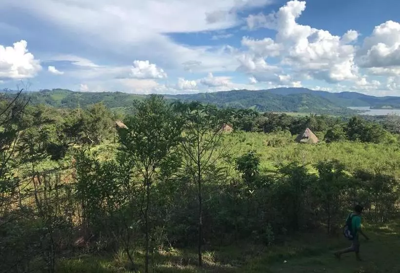 ペンション Ayahuaska Backpackers House  Casa Completa En Alquiler