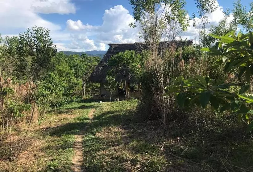 ペンション Ayahuaska Backpackers House  Casa Completa En Alquiler