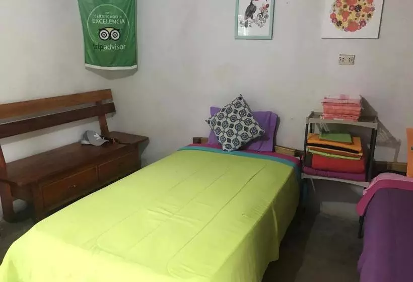 ペンション Ayahuaska Backpackers House  Casa Completa En Alquiler