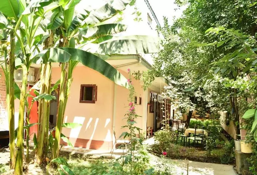 پانسیون Sayfi Guesthouse