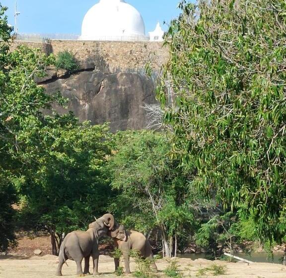 بنسيون Suduweli Beauties Of Nature   Yala
