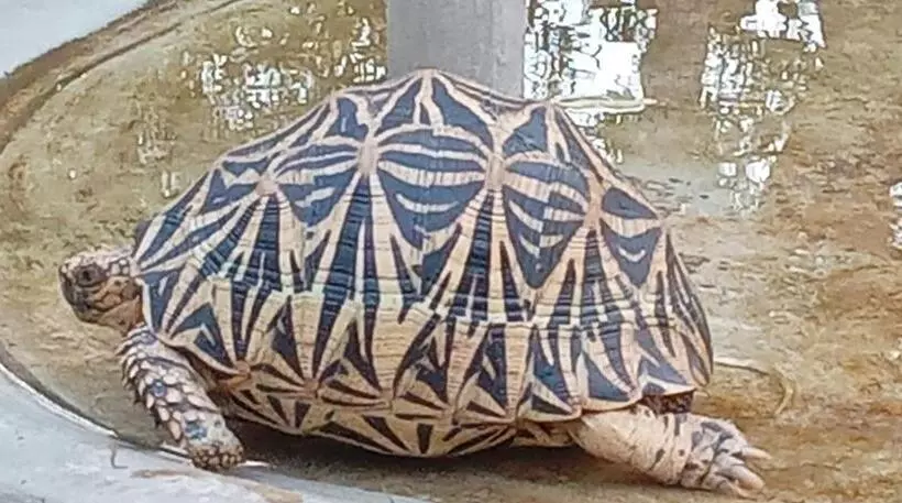 Majatalo Suduweli Beauties Of Nature   Yala