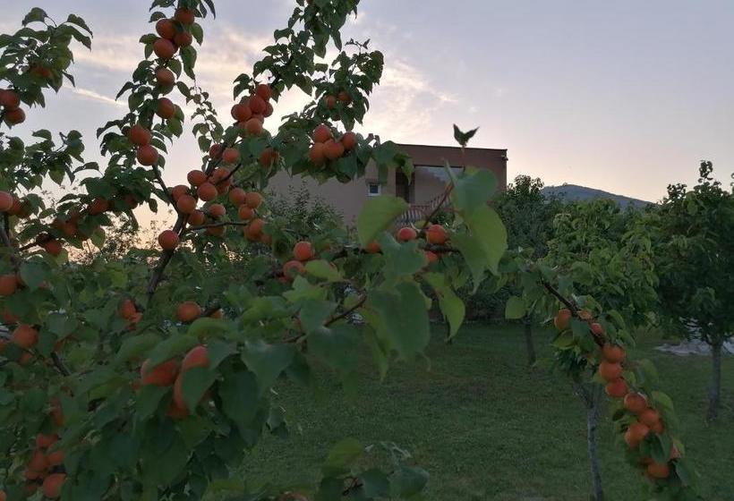 پانسیون Vila Dušica