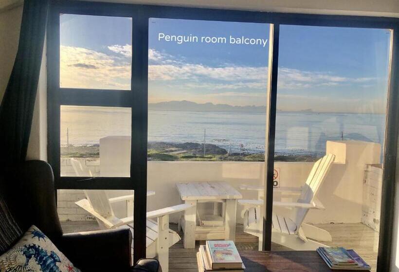 بنسيون Ollava Guesthouse