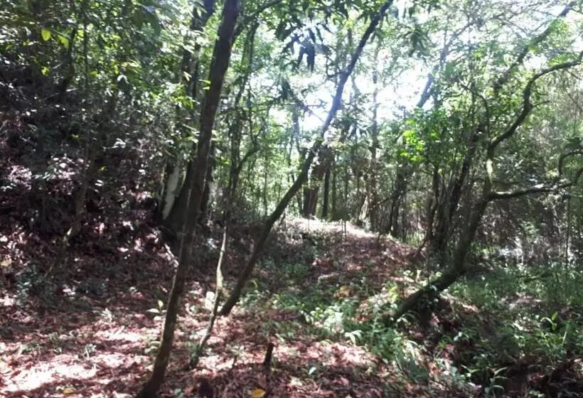 Majatalo Pousada Kart Clube