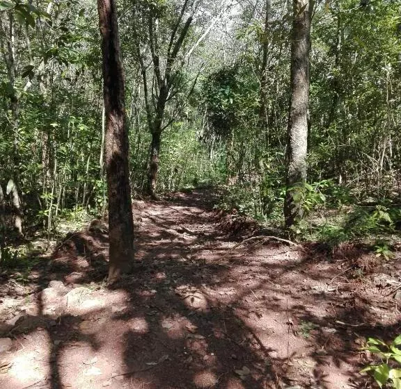 Majatalo Paradise Forest Garden