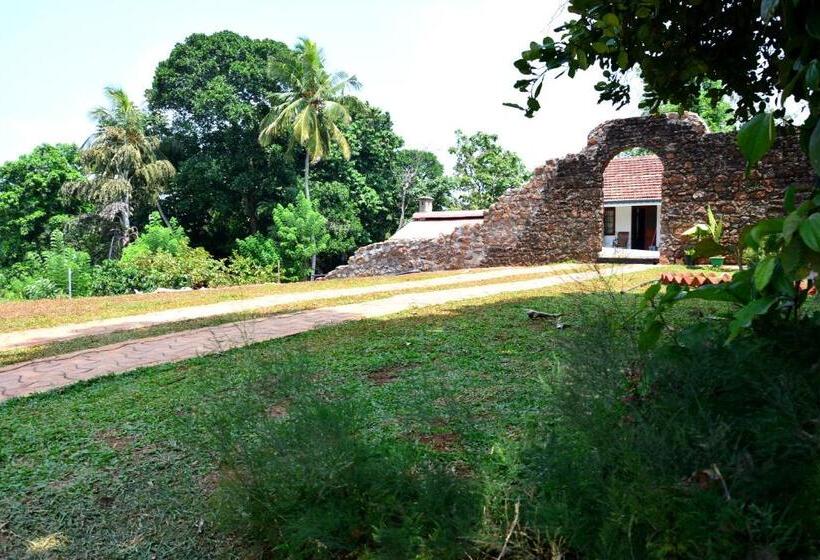 Pensionat Paradise Forest Garden