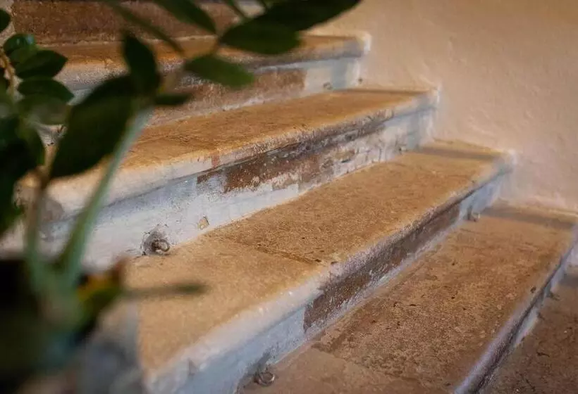 Majatalo Penzion St. Martin