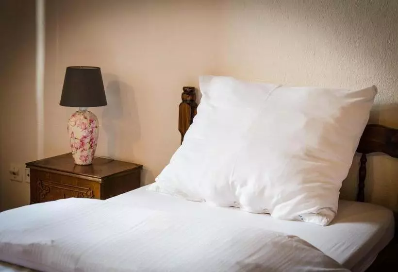 Majatalo Penzion St. Martin