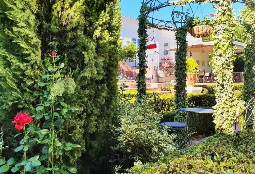 پانسیون Villa Adalbert Guesthouse