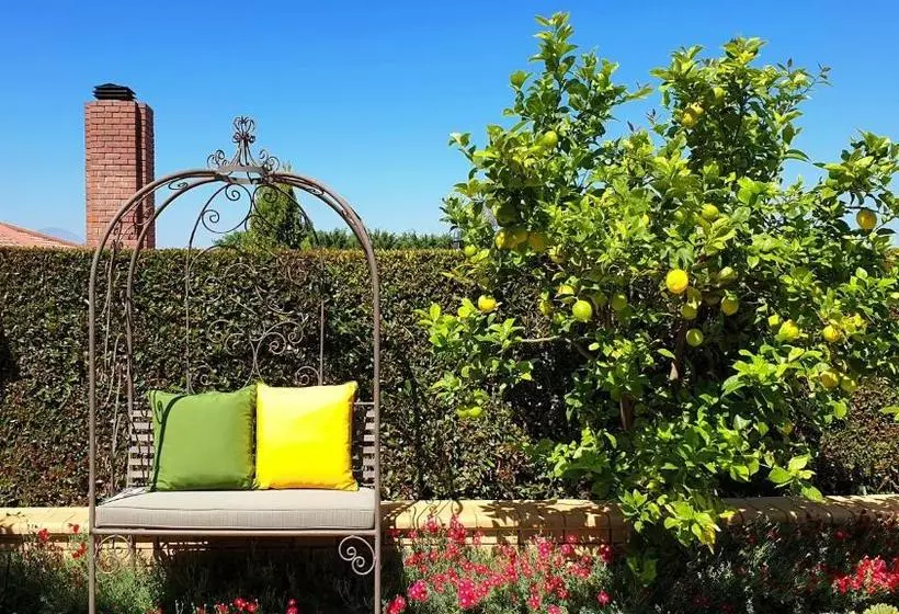 پانسیون Villa Adalbert Guesthouse