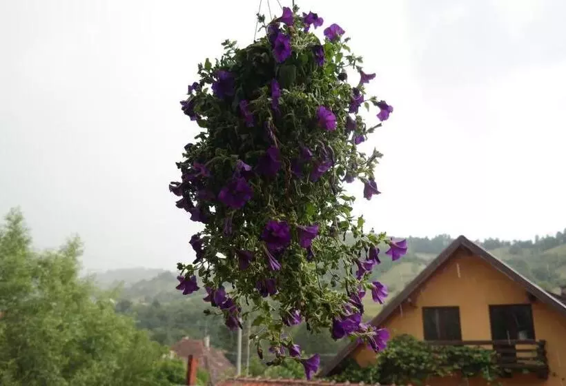 Majatalo Casa Mon Reve