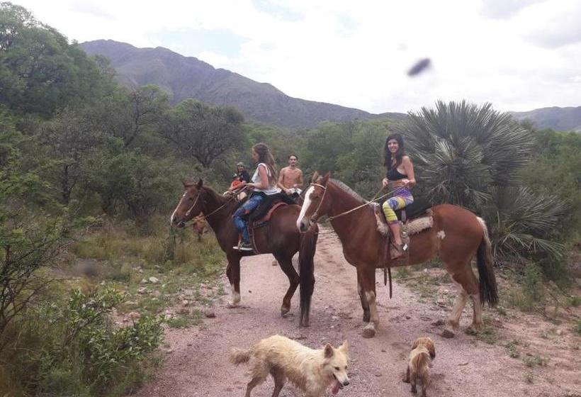 Pansiyon Guest House Mielaloe