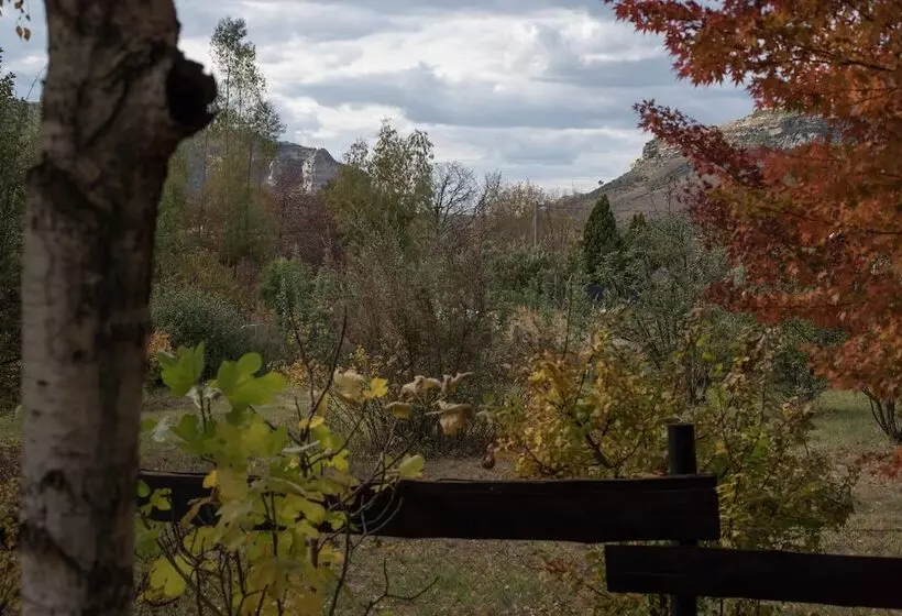 ペンション Patcham Place & Lilliput House, Clarens