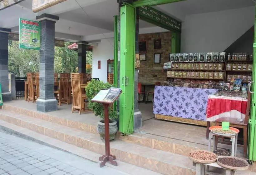 Pensione Sekumpul Accommodation