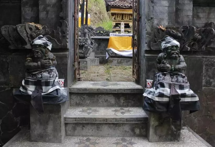 Pensione Sekumpul Accommodation