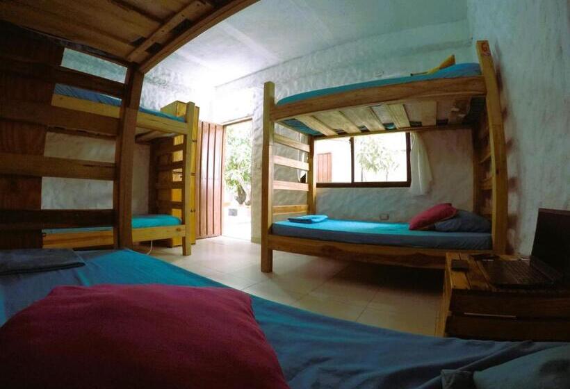 پانسیون Rokadura Hostel