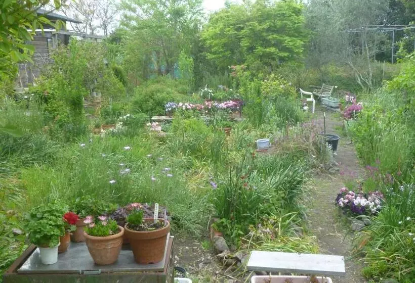 Pension Flora
