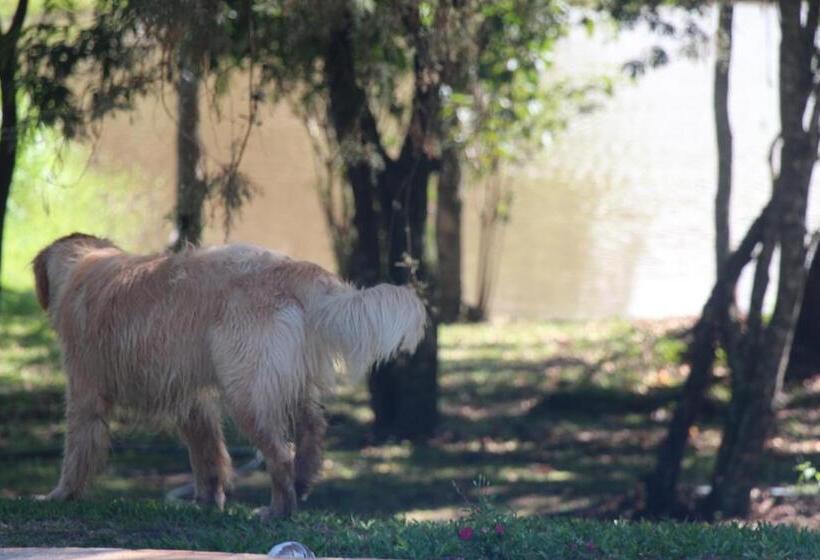Hostel Hospedagem Fazenda Nova América