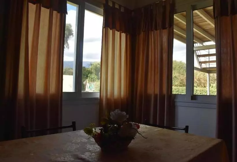 Apartdora