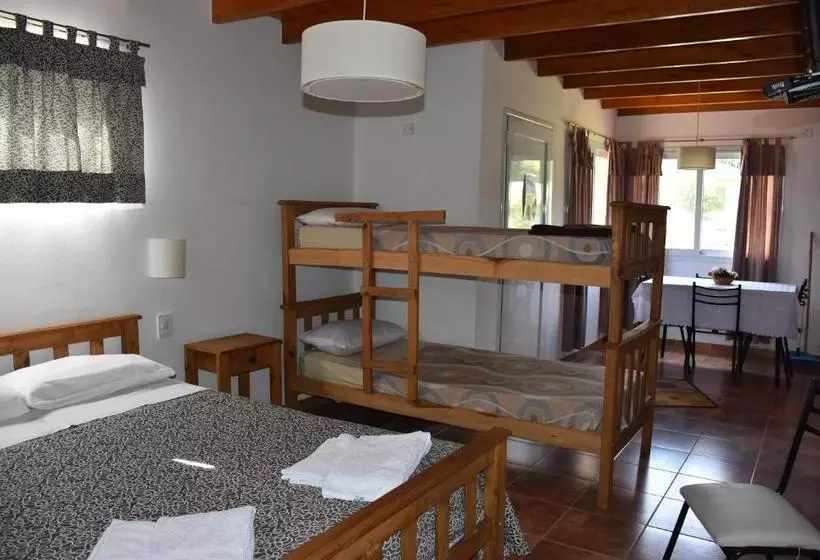 Apartdora