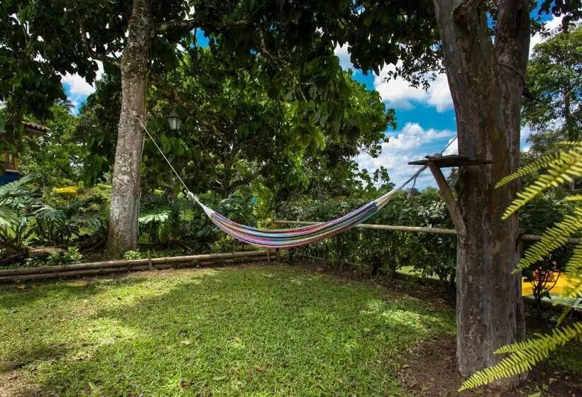 ペンション El Laurel Finca Agroturistica