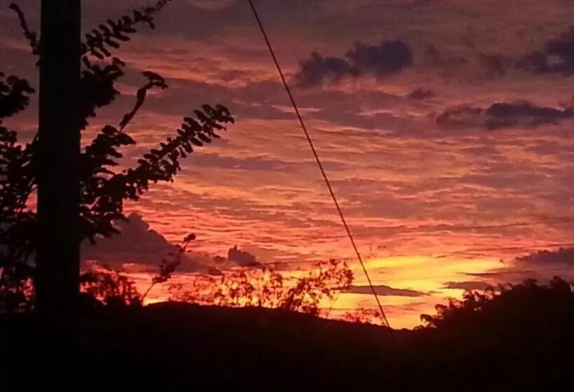 ペンション El Laurel Finca Agroturistica