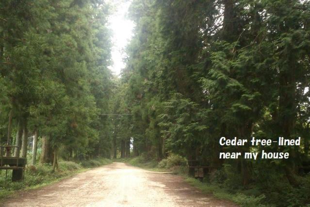 Пансион Nikko Guesthouse Imaichiyado