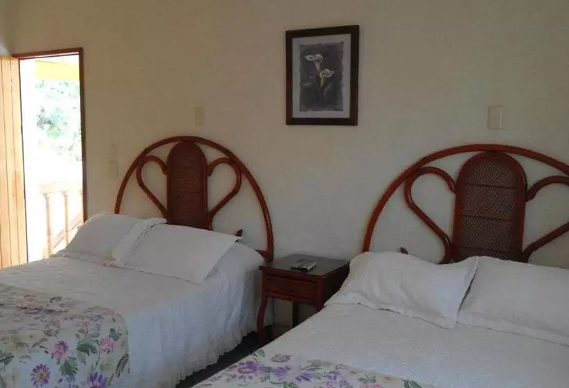 ペンション Villa Cupatitzio