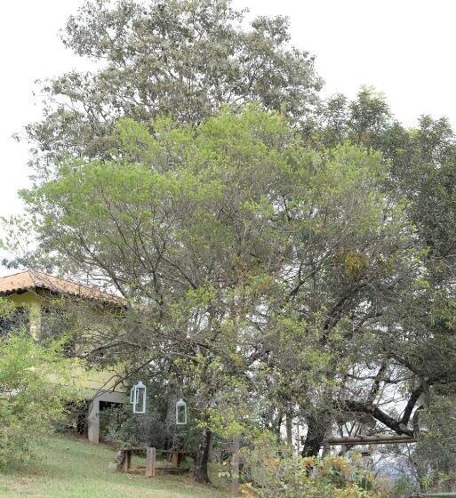 Pension (Hôtel basse catégorie) Villa Severina