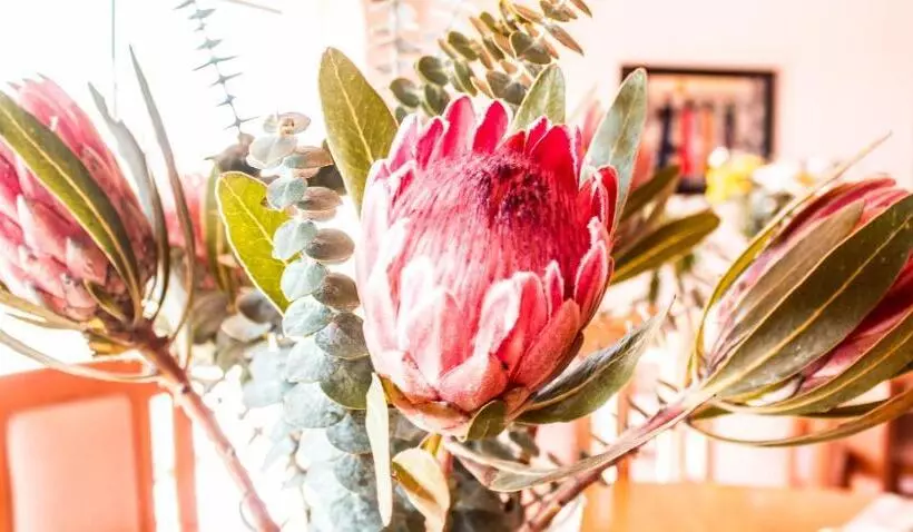 Majatalo Glenfinnan Guest House