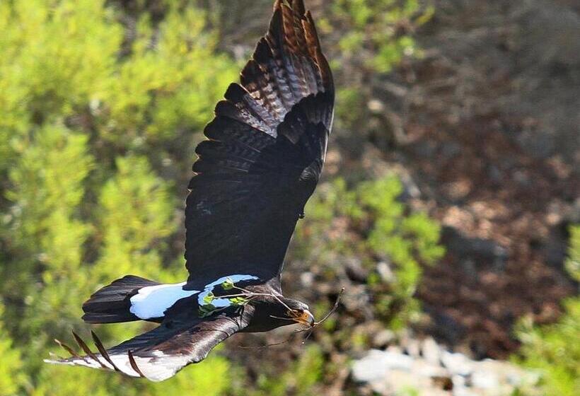 פנסיון Glenfinnan Guest House