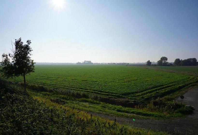 Pensão Herberg De Ring