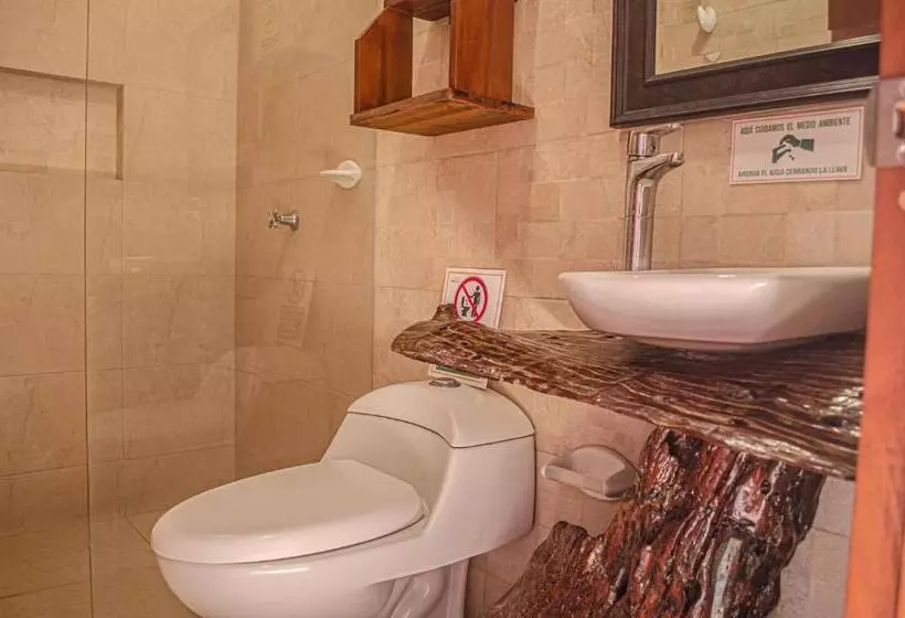 Retkeilymaja Casa Palomino Hostal