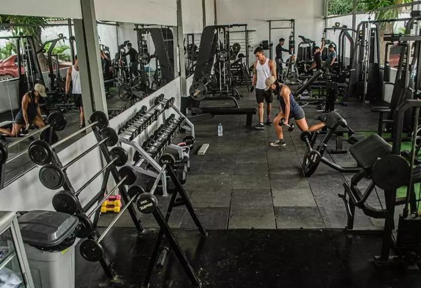 Retkeilymaja Casa Palomino Hostal