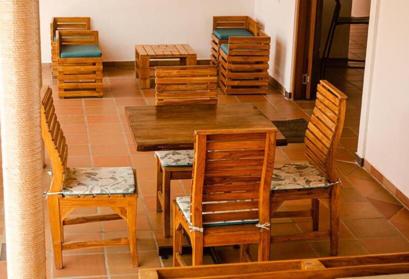 هاستل Casa Palomino Hostal