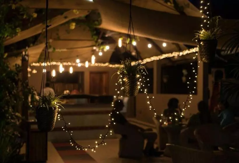 Red Mango Hotel And Apartments