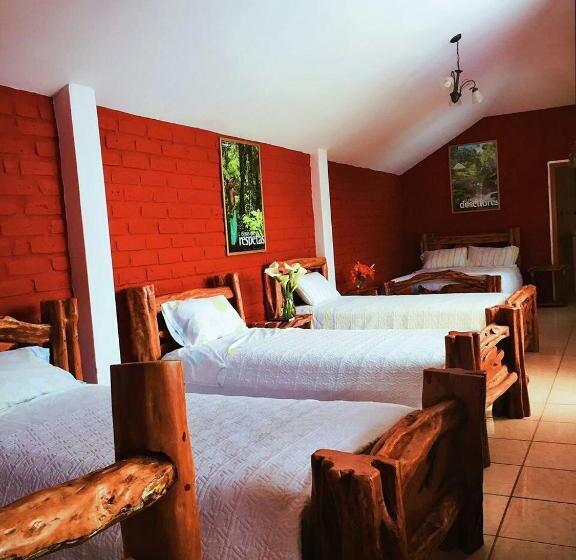 Общежитие Hosteria Don Elias