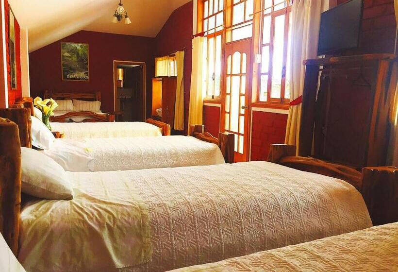 Общежитие Hosteria Don Elias