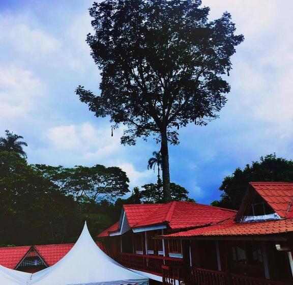 Общежитие Hosteria Don Elias