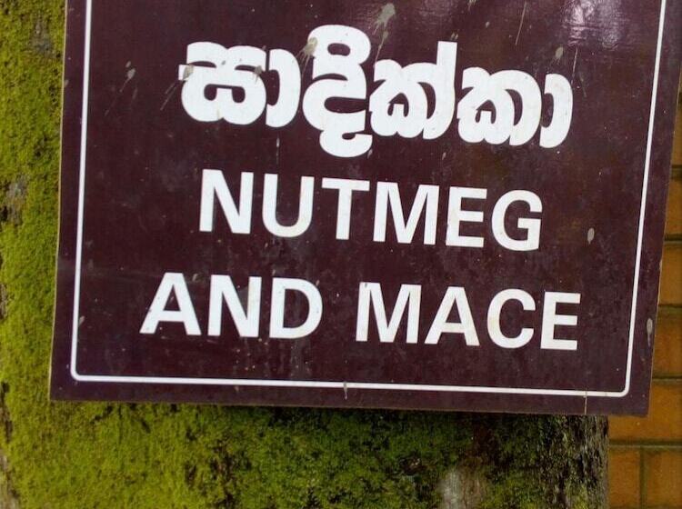 Nocleg ze śniadaniem River Edge Bungalow