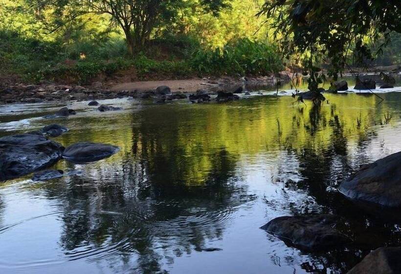 Nocleg ze śniadaniem River Edge Bungalow